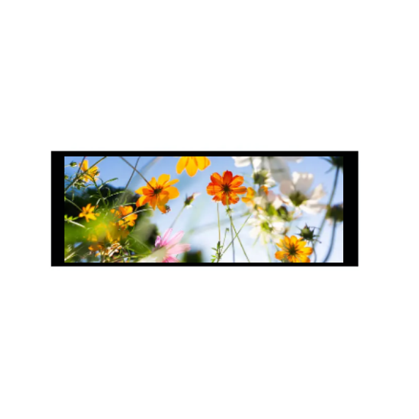 6,86 cala 480 × 1280 IPS moduł TFT